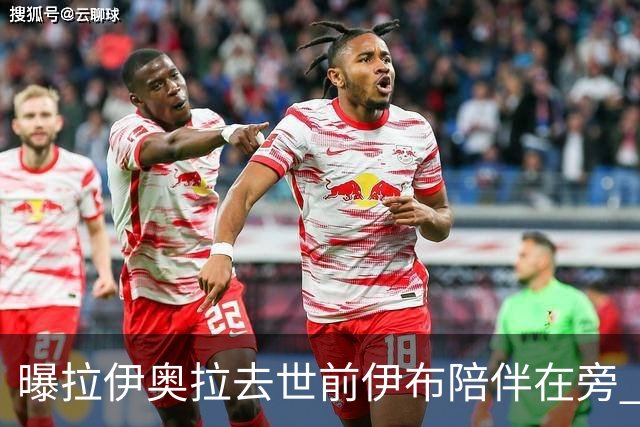 曝拉伊奥拉去世前伊布陪伴在旁 两人合作多年